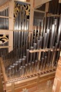 Morrum.Svezia.canne.Grand.organo